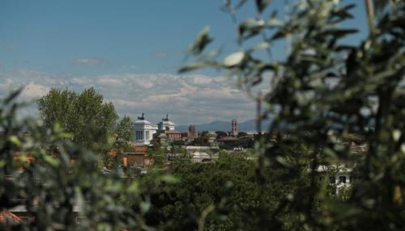 Info - Trastevere Belvedere B&B
