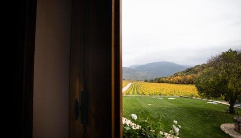Info - San Calisto camere con vigna