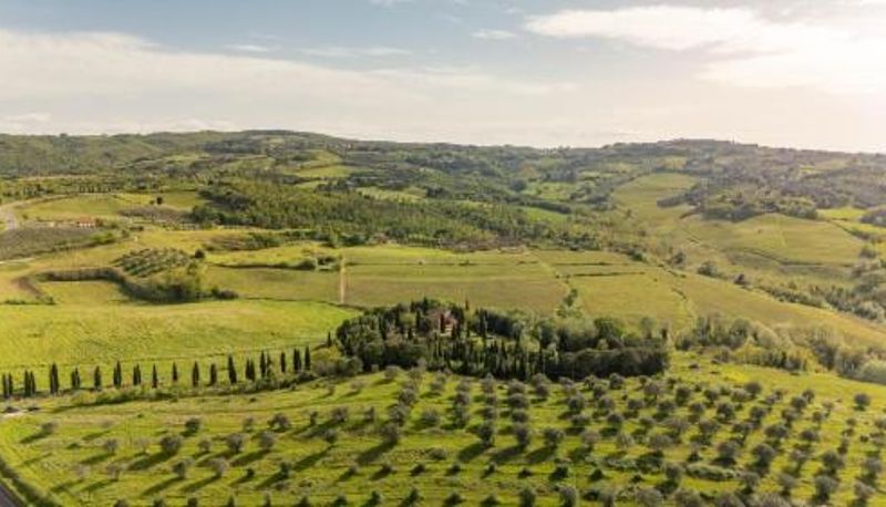 Info - renovated & new pool  holiday home & apartments Podere Fignano