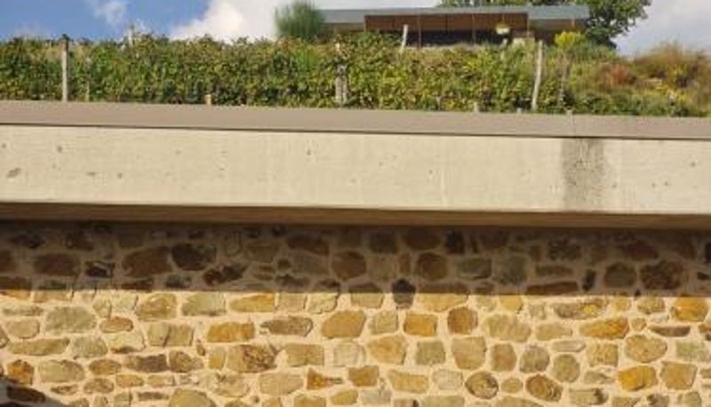 Zona exterior del hotel - Poggio Cagnano