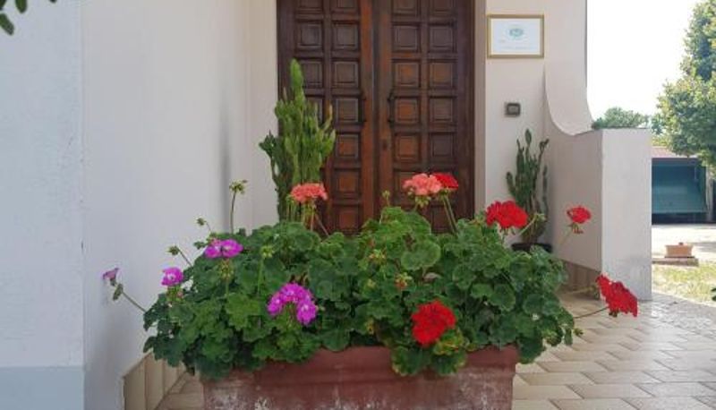 Info - B & B Cedro Argentato