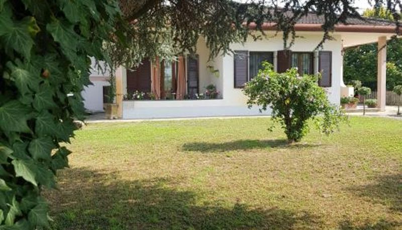 Info - B & B Cedro Argentato