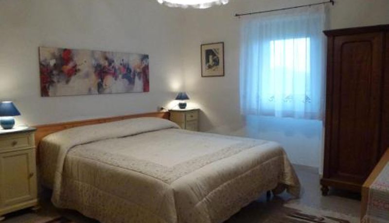 Camera - Il canto dell'asino