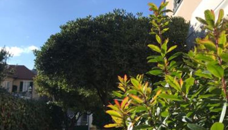 Info - Hotel B&B Giardino delle Rose Bike&Breakfast