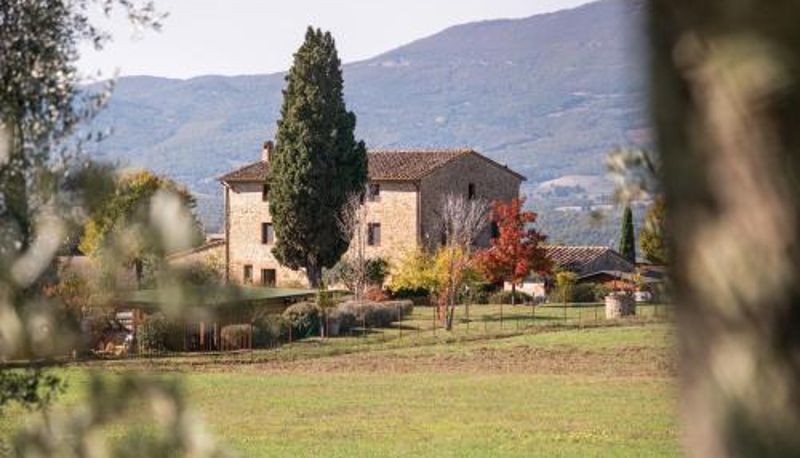 Información - San Carlo alla Molinella