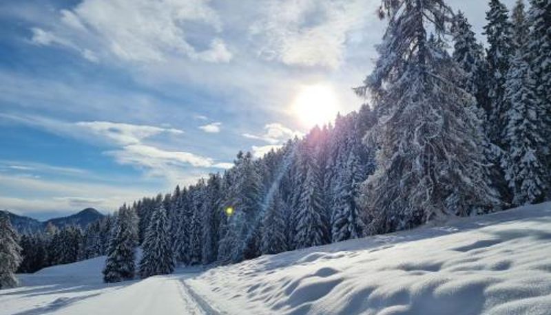 Info - Chalet Chapeau RaR