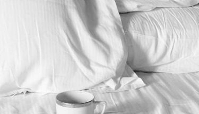 Suite - Camaiore - Adults Only - No Pets Badia Giulia Prestigious Historical B&B