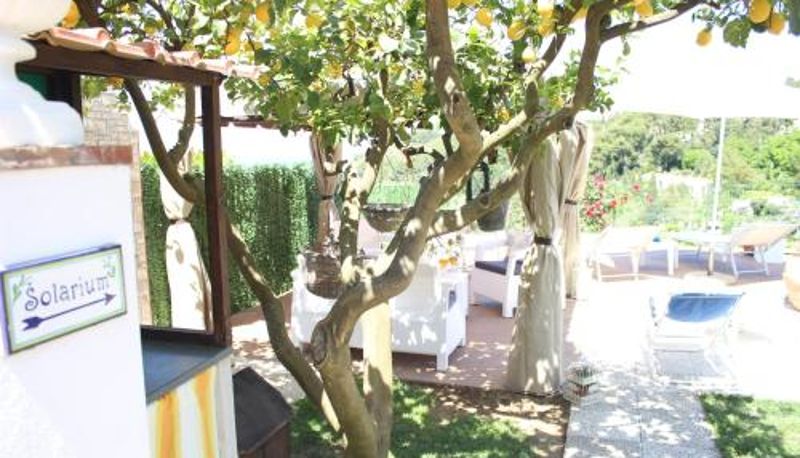 Info - B&B Villa Cristina