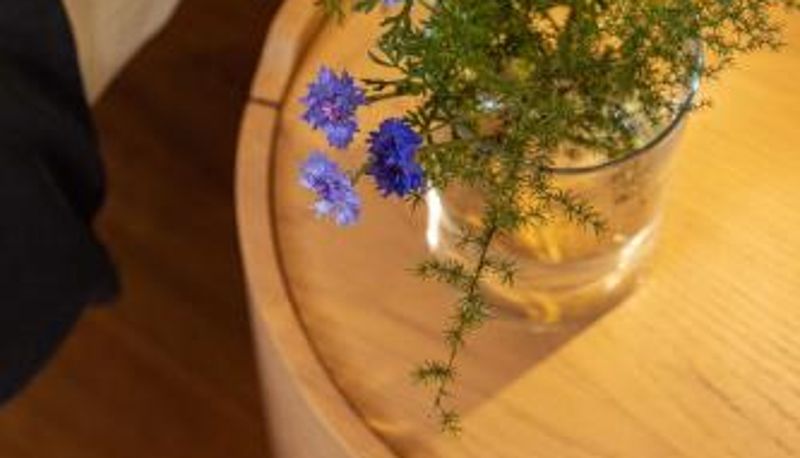 Oda - La Forestale Luxury Ecolodge B&B Primo Piano
