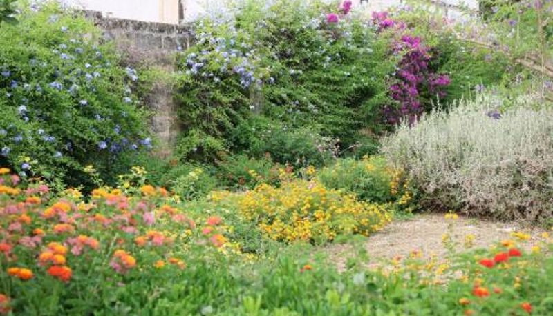 Información - B&B Il Giardino di Paola