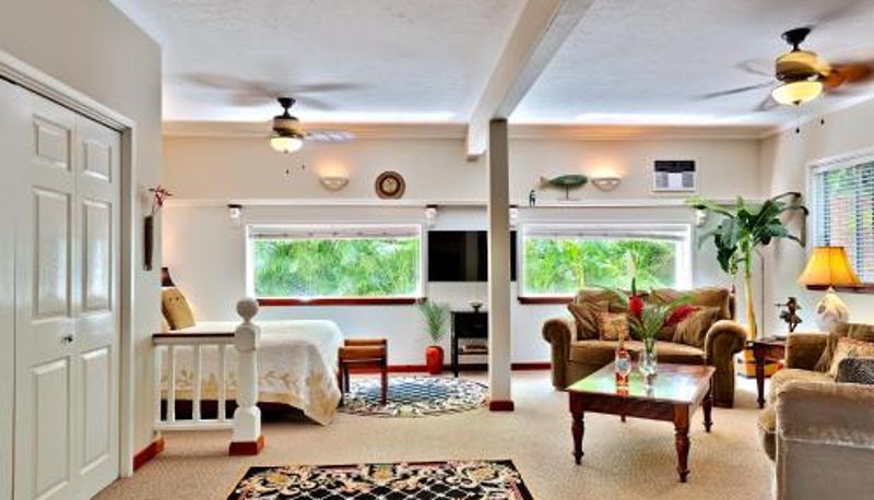 Standart oda - Orchid Tree B&B