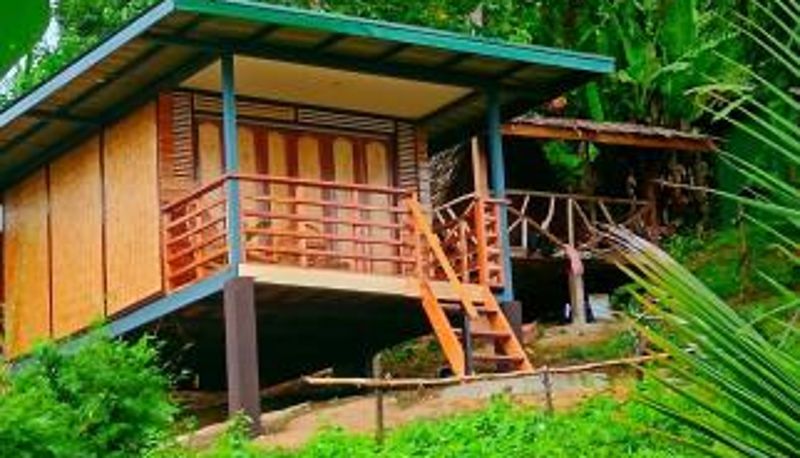 Zimmer - The View - Jungle Lodges - Port Barton