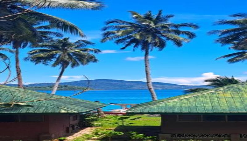 客室 - The View - Jungle Lodges - Port Barton