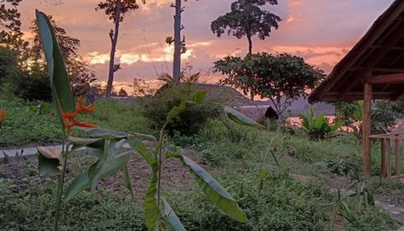 客室 - The View - Jungle Lodges - Port Barton