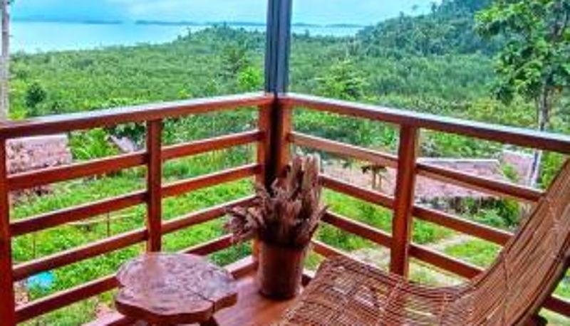 眺望 - The View - Jungle Lodges - Port Barton