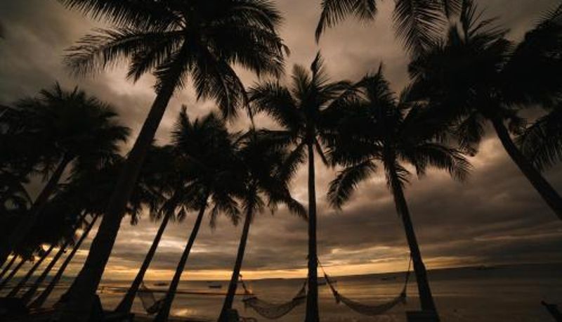 Bilgi - Bohol Beach Club