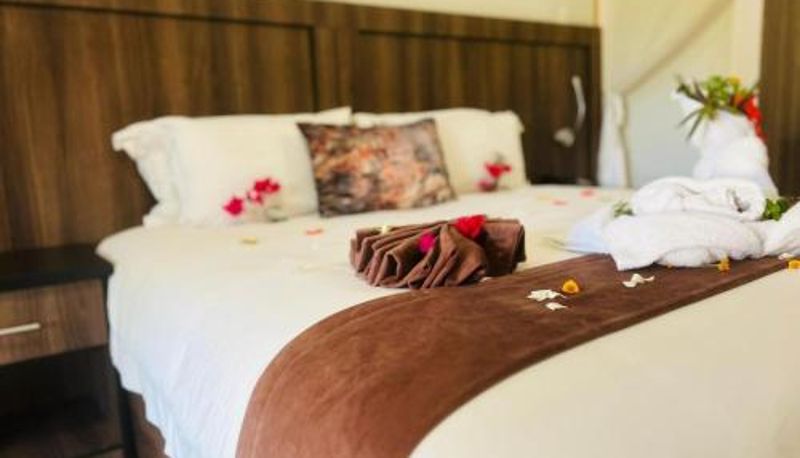 Bilgi - Wild View Resort