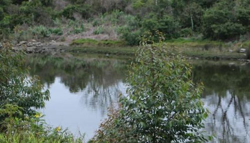 Info - Forword's River Lodge