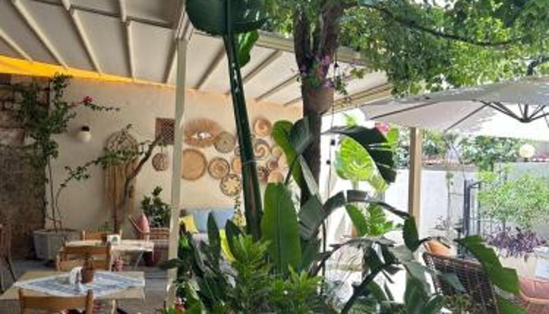 Bilgi - VICTORIA BOUTIQUE HOTEL