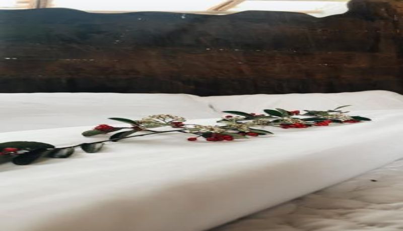 Info - El Hayuelo Ecolodge