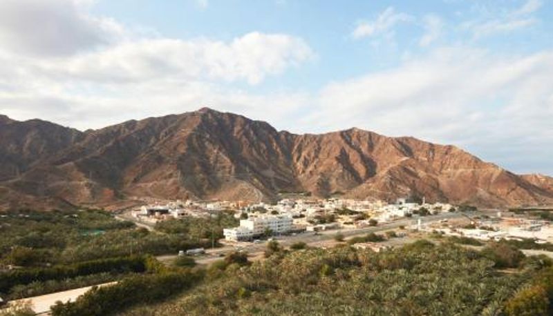Info - Royal M Al Aqah Beach Resort by Gewan
