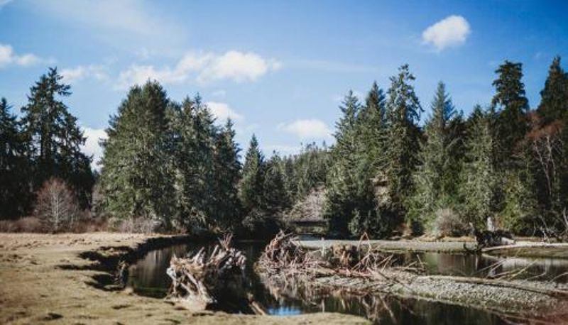 Info - Port Hardy Cabins