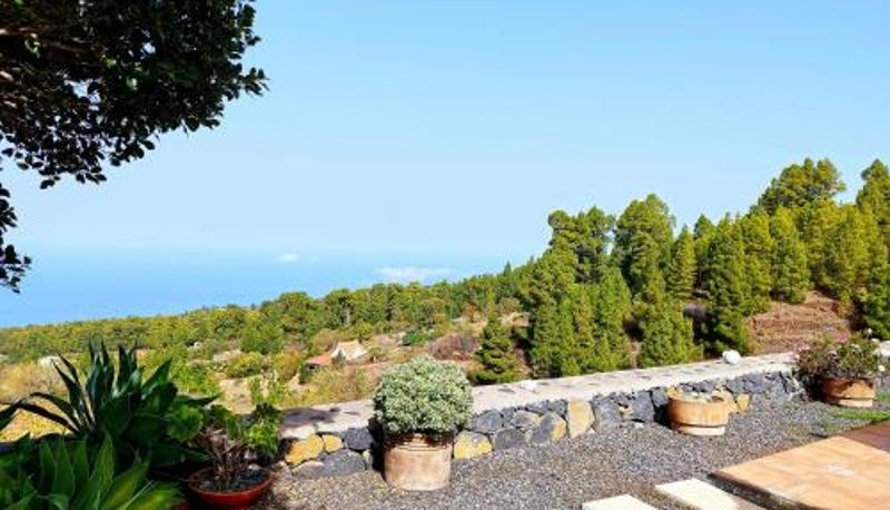 Terraza - El Topo