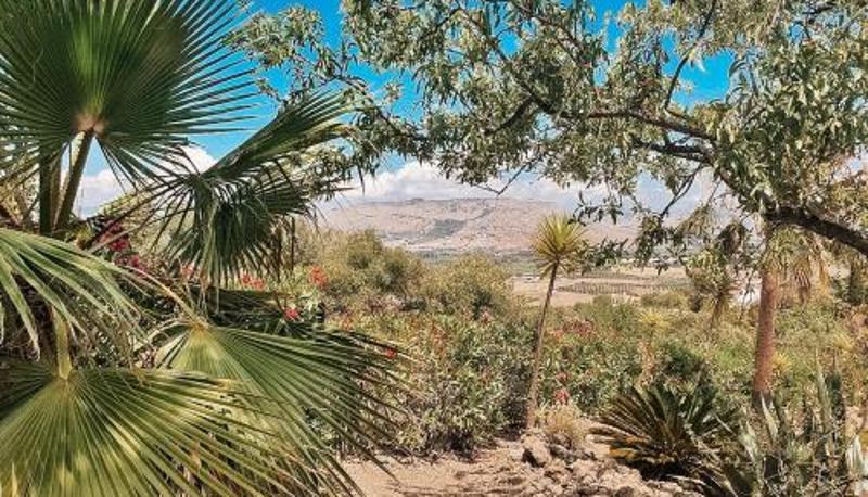 Informacje - Finca Flamenco Holiday Suites Adults Only