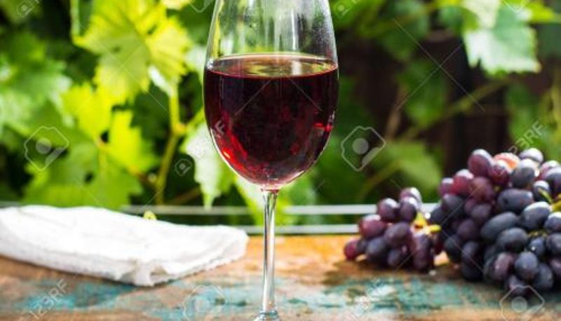 Centrum odnowy biologicznej i fitness - Casa rural "Garnacha de Borja" guest home