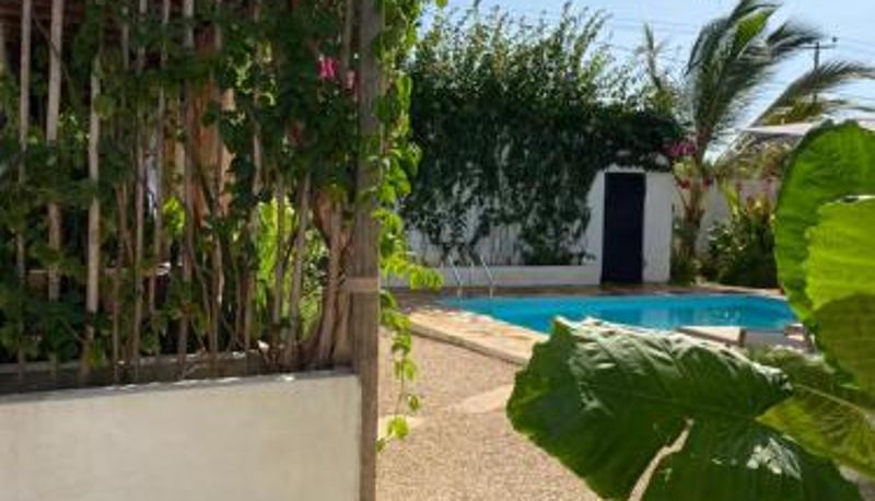 Informacje - Cactus lodge Zanzibar