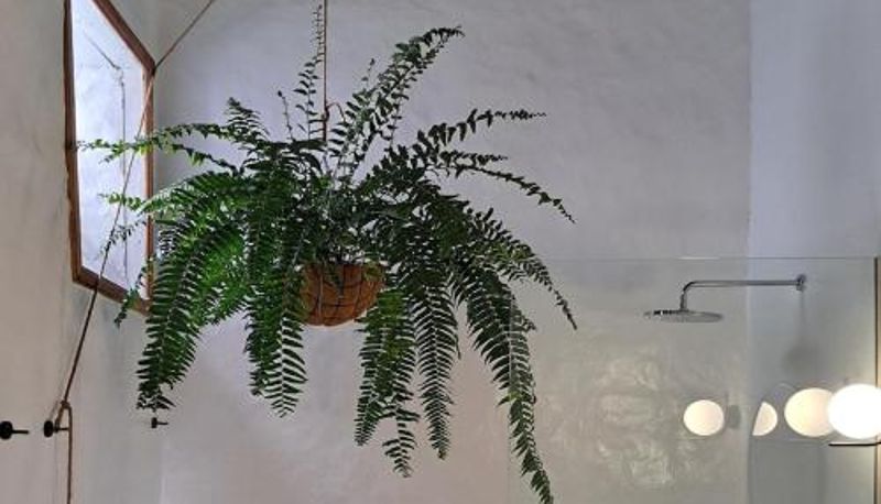 Łazienka - Casa de las Flores - Hotel Boutique Lanzarote