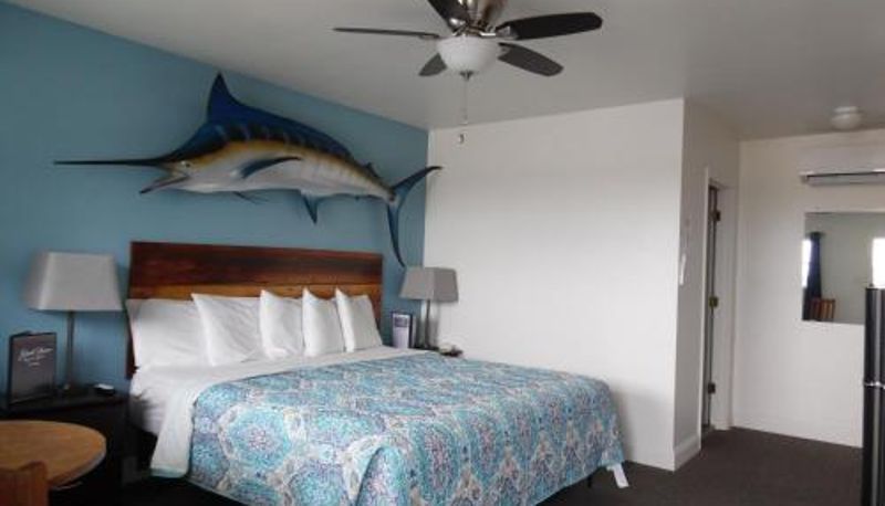 Camera - Wachapreague Inn - Motel Rooms