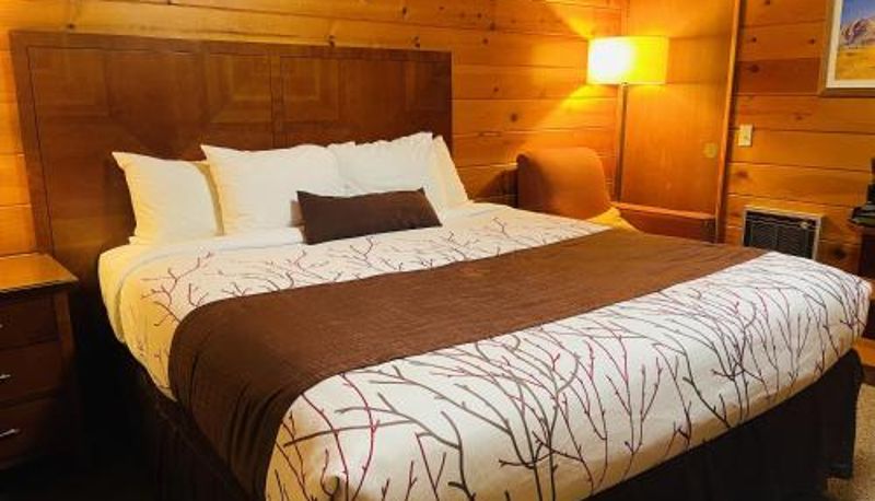 Camera - Apple Inn Motel