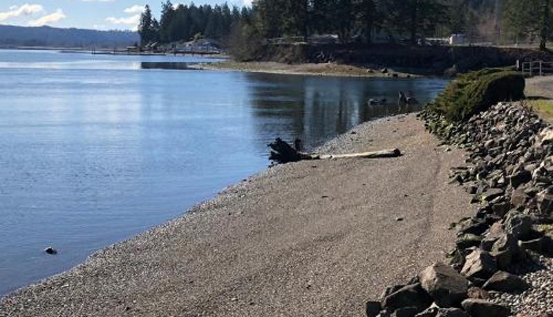 Daire - The Waterfront at Potlatch