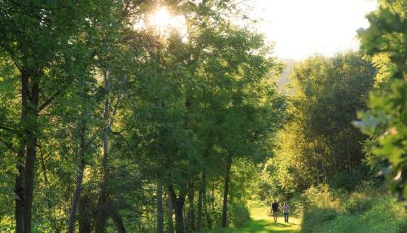 Daire - Justin Trails Resort