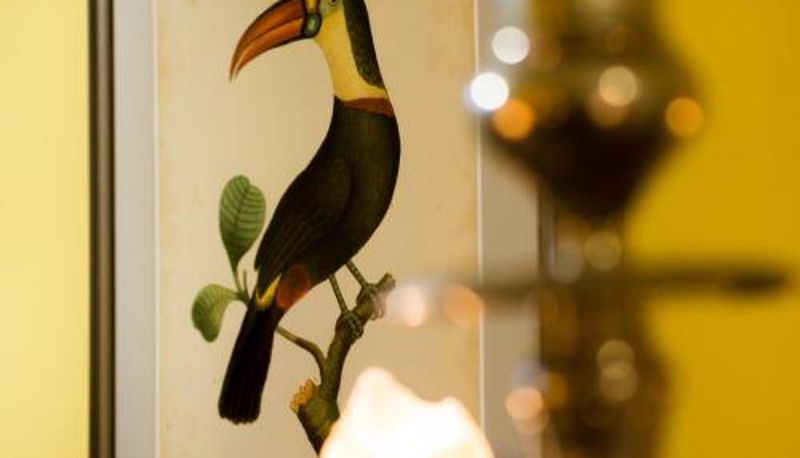 Info - Six Brunton Place Guest House