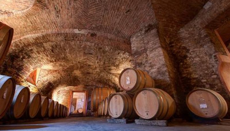 Zona de bienestar y gimnasio - Marchesi Alfieri - Cantine e Ospitalità