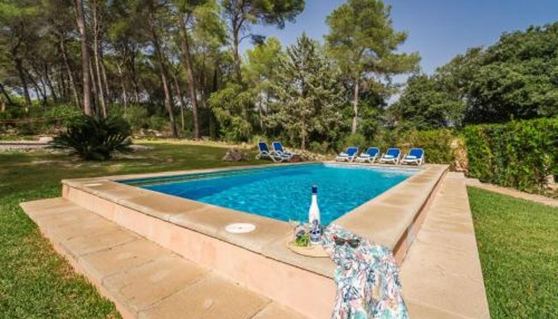 Piscine - Ideal Property Mallorca - Esteban
