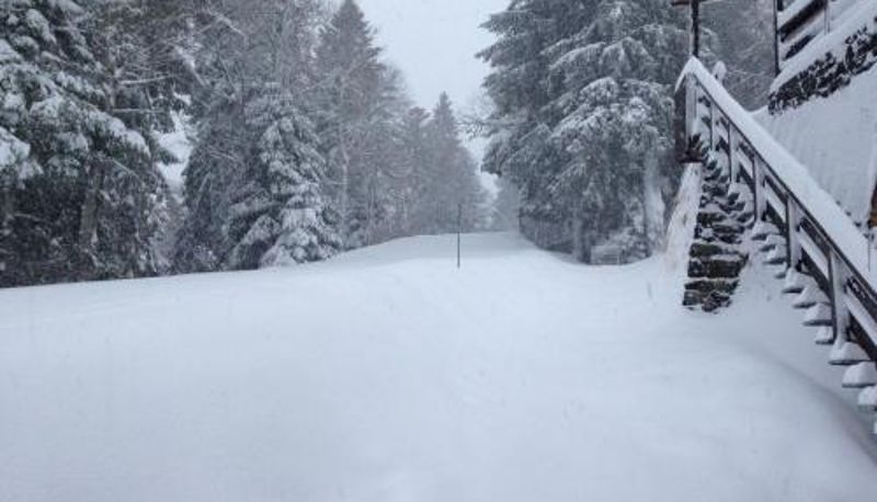 Info - Le Rocher Du Cerf
