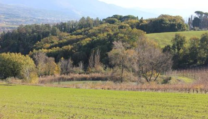 Información - Agriturismo La Ginestrella