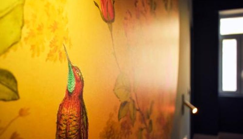 Standaardkamer - Arte Nova Guesthouse