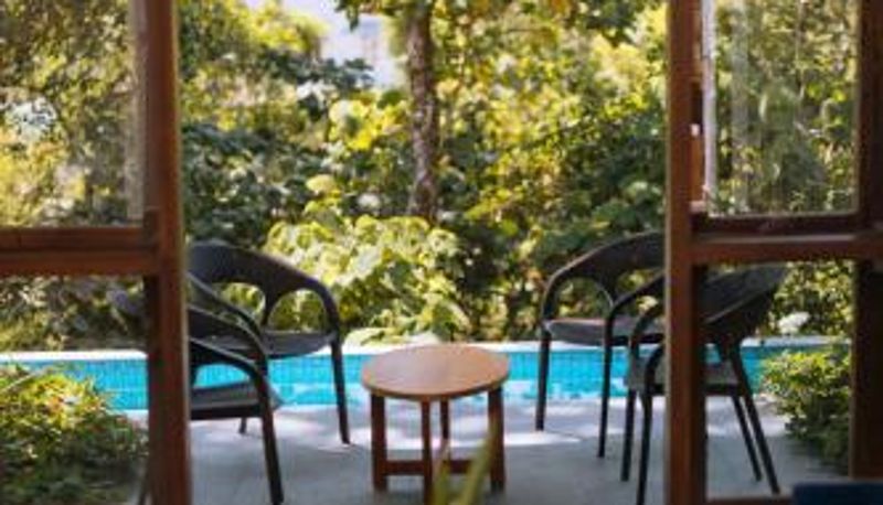 Piscine - Munnar Elixir Woods Luxury Resort And Spa