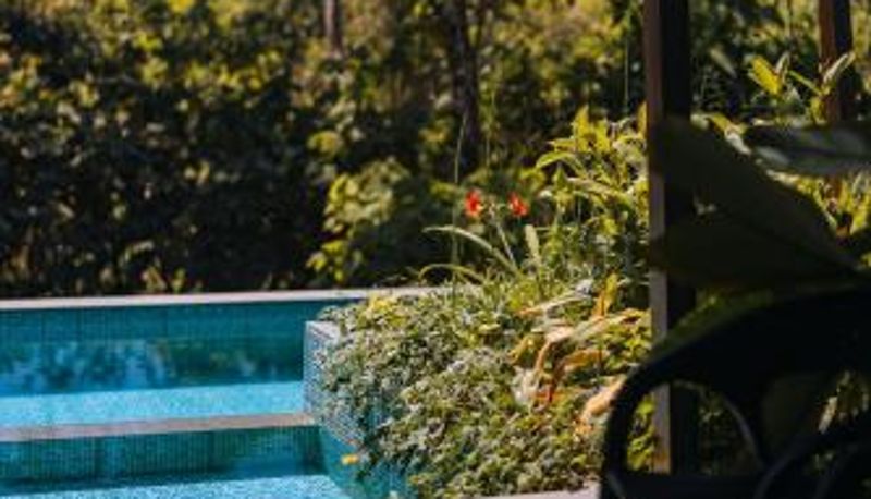 Piscine - Munnar Elixir Woods Luxury Resort And Spa