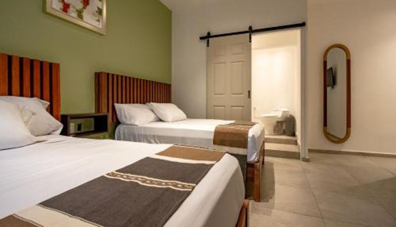 Room - Collection O Hotel Lavanda Anzures