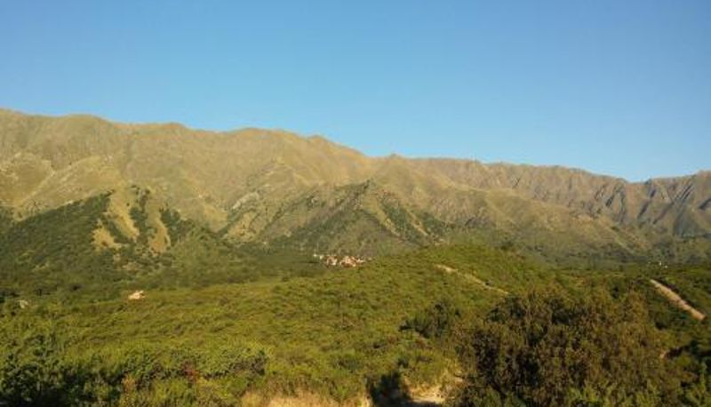 Info - La Loma Resort