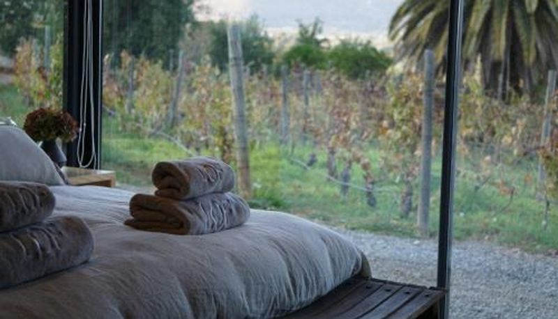 Room - Viña LOF - Maipo Valley Bed & Breakfast in Winery