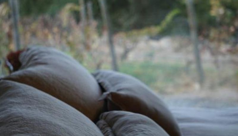 Info - Viña LOF - Maipo Valley Bed & Breakfast in Winery