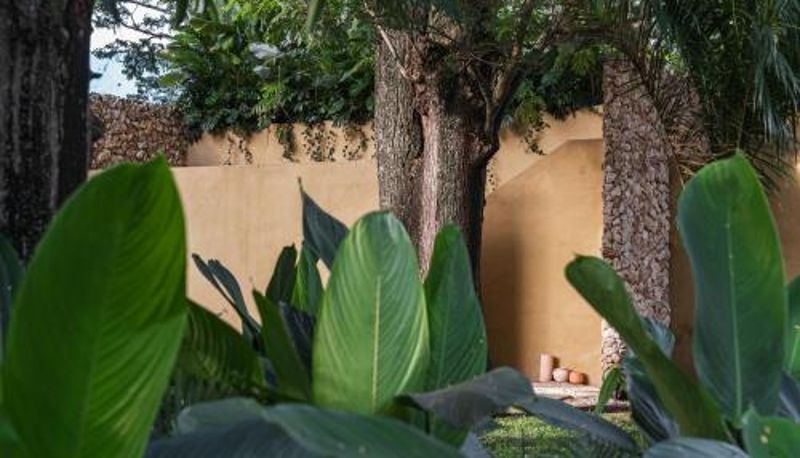 Info - Arde La Selva
