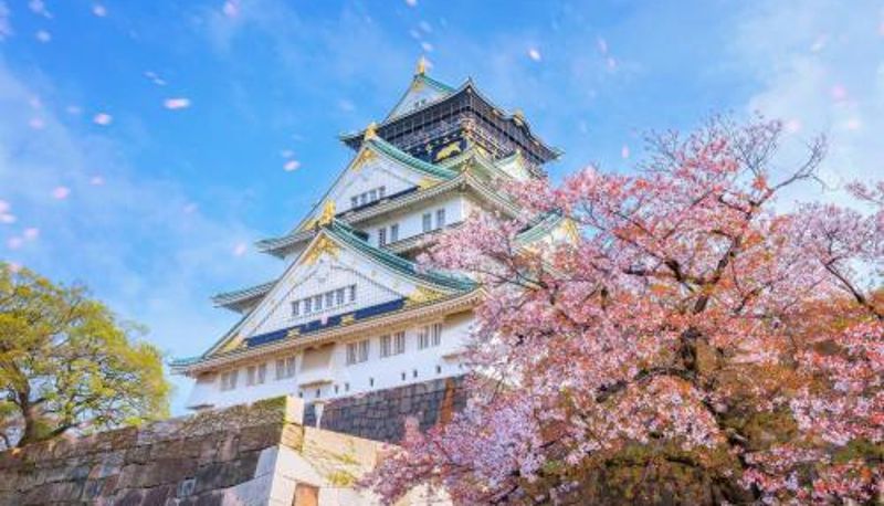 Info - Sakura OsakaCastleNorth Hotel -Adult Only-