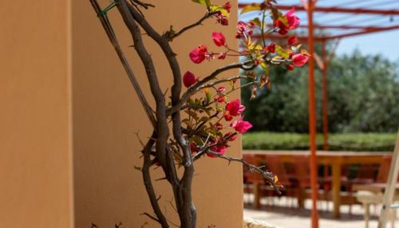 Chambre Standard - Planeta Country House & Beach Club
